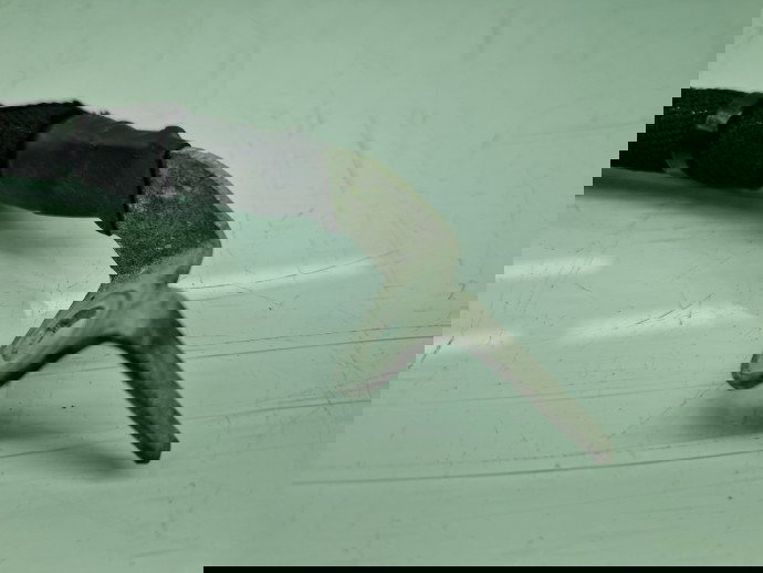 Borna baterie (-) Mercedes Clasa A (W177) [Fabr 2019-2024] A0009051910