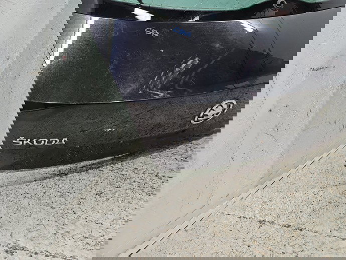 Haion Skoda Octavia 3 (5E3) [Fabr 2012-2020] Berlina LF9R