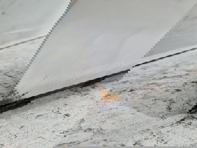 Usa dreapta fata AUDI A3 (8P1) [Fabr 2003-2012] LY9C