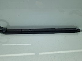 Amortizor haion Bmw 5 GT (F07) [Fabr 2011-2016] Hatchback 7200543-12