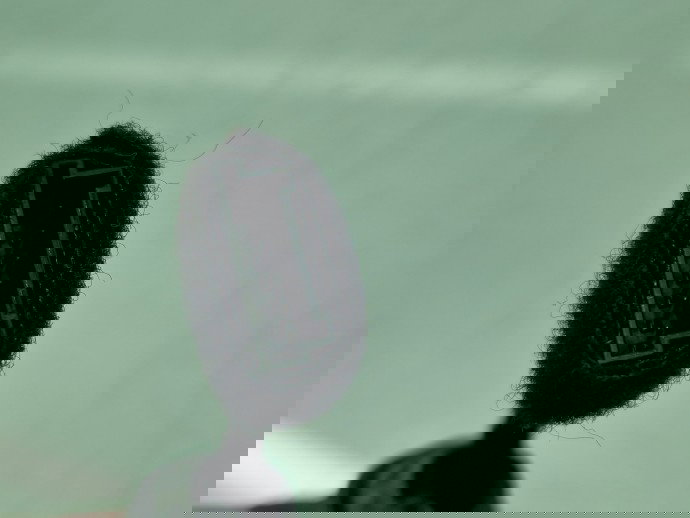 Amortizor haion Bmw 5 GT (F07) [Fabr 2011-2016] Hatchback 7200543-12