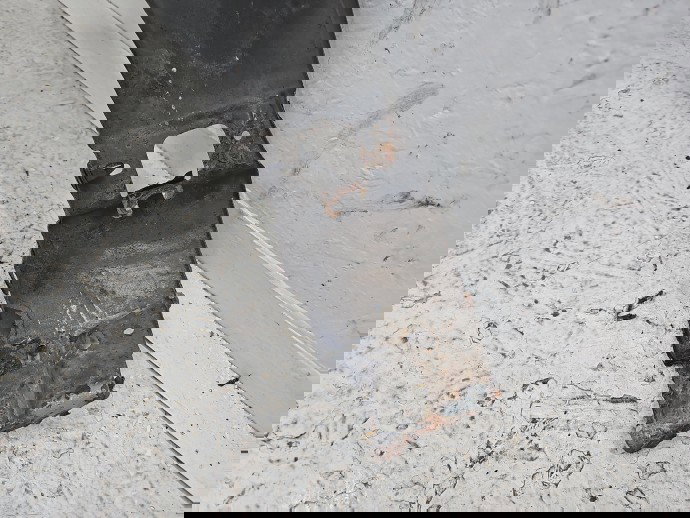 Aripa dreapta fata AUDI A3 Sportback (8PA) [Fabr 2004-2013] Hatchback LY9B