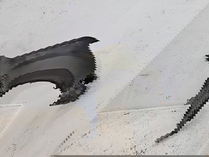 Aripa stanga fata Dacia Duster 2 [Fabr 2017-2023] TED69