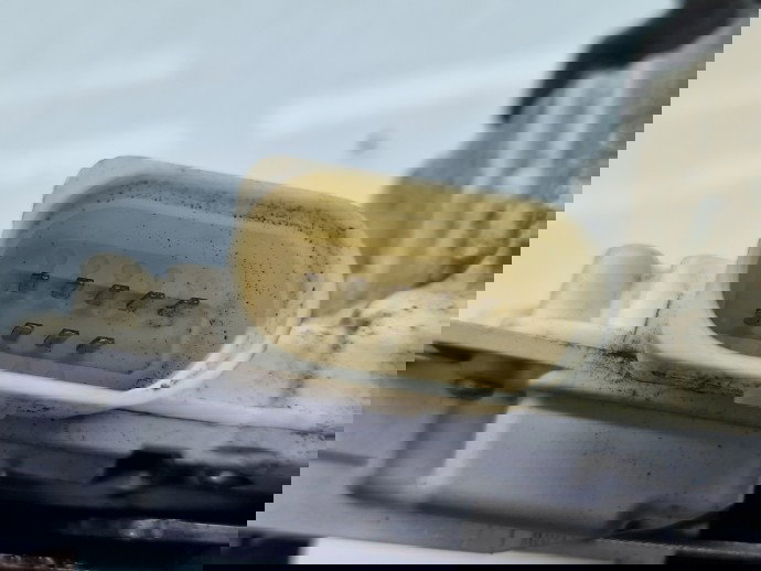 Broasca usa stanga spate AUDI A3 (8VS) [Fabr 2013-prezent] Berlina S-line 4G0839015