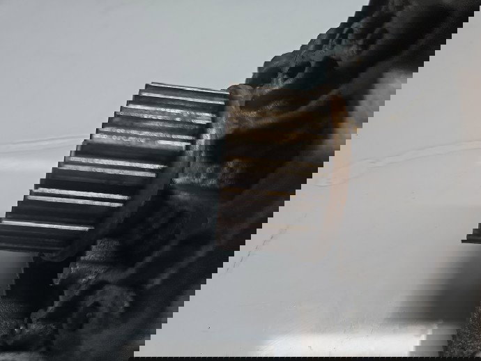 Pompa inalta presiune Dacia Duster 2 [Fabr 2017-2023] 167003606R 1.5 DCI K9K872 85KW / 115CP