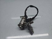 Injector Adblue Dacia Duster 2 [Fabr 2017-2023] 208995377R 1.5 DCI K9K872 85KW / 115CP