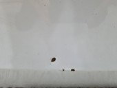 Usa dreapta fata Opel Corsa E [Fabr 2014-prezent] GAZ