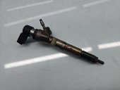 Injector Dacia Duster [Fabr 2010-2017] 166006212R 1.5 dCi K9K656 80KW / 109CP