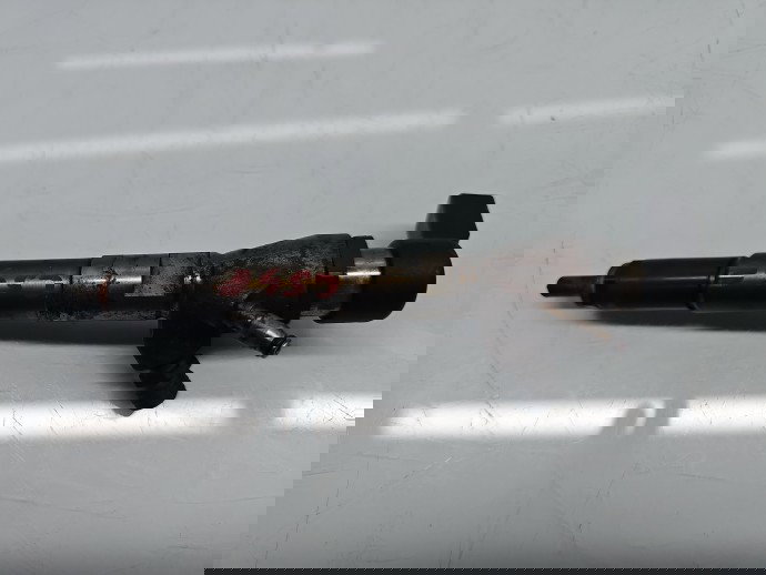 Injector Dacia Duster [Fabr 2010-2017] 166006212R 1.5 dCi K9K656 80KW / 109CP