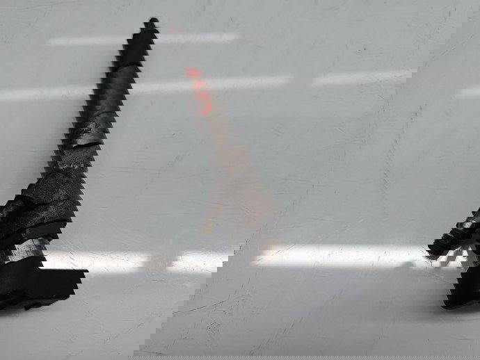 Injector Dacia Duster [Fabr 2010-2017] 166006212R 1.5 dCi K9K656 80KW / 109CP