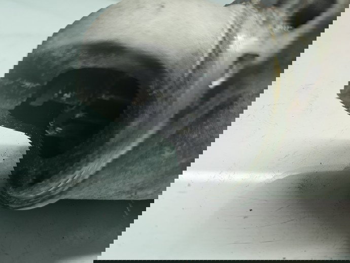 Electromotor Hyundai ix35 (LM) [Fabr 2010-2017] 36100-2A835 1.7 CRDI D4FD 85KW / 115CP