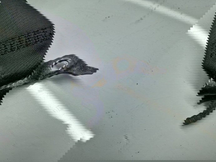 Centura stanga fata Bmw 3 (E91) [Fabr 2005-2011] 7234767