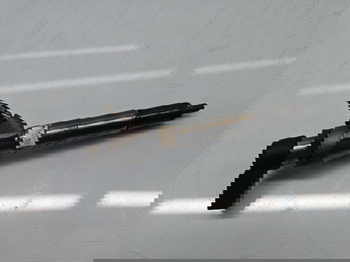 Injector Renault Scenic 3 [Fabr 2009-2015] 166006212R 1.5 dCi K9K656 80KW / 109CP