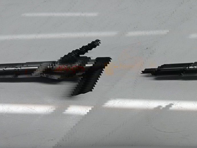 Injector Renault Megane 3 [Fabr 2008-2015] 166006212R 1.5 dCi K9K656 80KW / 109CP