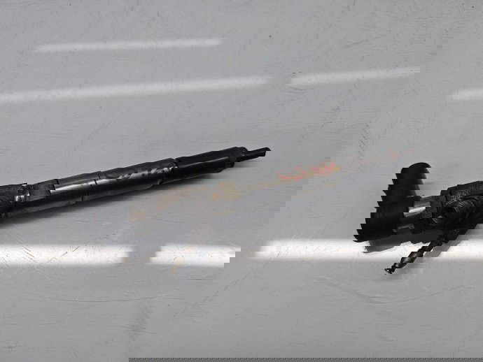 Injector Renault Megane 3 [Fabr 2008-2015] 166006212R 1.5 dCi K9K656 80KW / 109CP