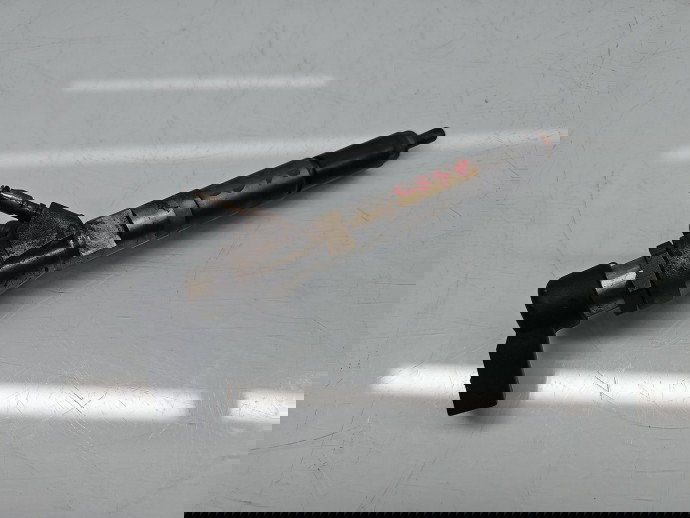 Injector Renault Scenic 3 [Fabr 2009-2015] 166006212R 1.5 dCi K9K656 80KW / 109CP