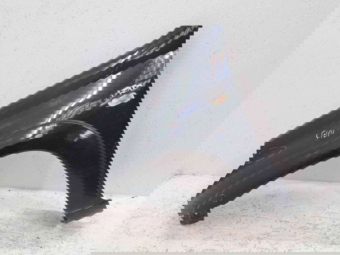 Aripa stanga fata Toyota Rav 4 II (CLA2, XA2, ZCA2, ACA2) [Fabr 2000-2006] 202