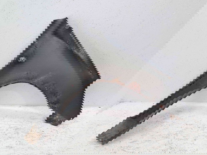 Aripa stanga fata Toyota Rav 4 II (CLA2, XA2, ZCA2, ACA2) [Fabr 2000-2006] 202