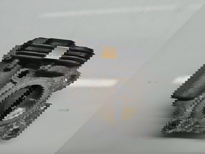 Clapeta acceleratie Dacia Duster 2 [Fabr 2017-2023] 161200428R 1.5 dCi K9K-872 85KW / 115CP