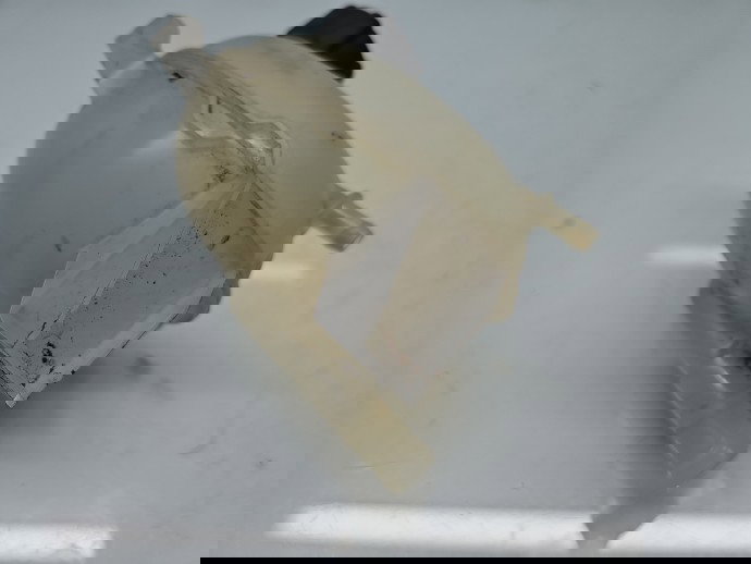 Vas expansiune Dacia Duster 2 [Fabr 2017-2023] 217100680R