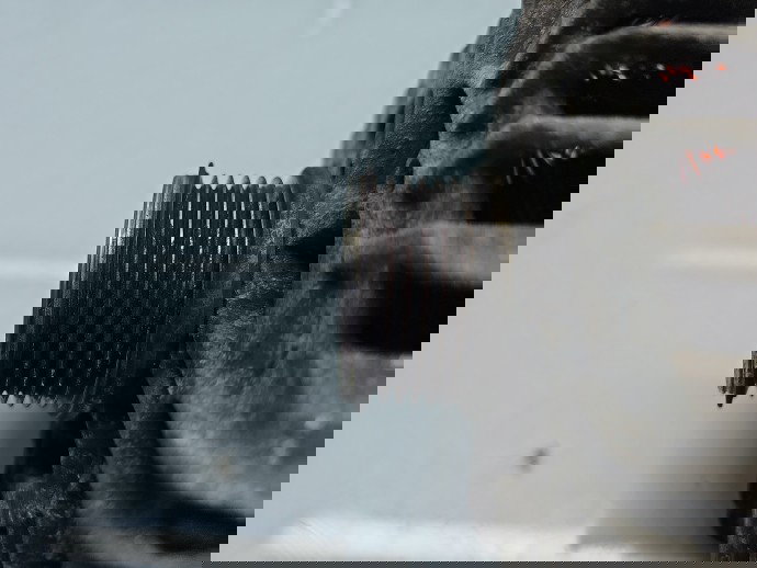 Alternator PEUGEOT 2008 [Fabr 2013-prezent] 9678048880 1.4 HDI DV4C 50KW / 68CP