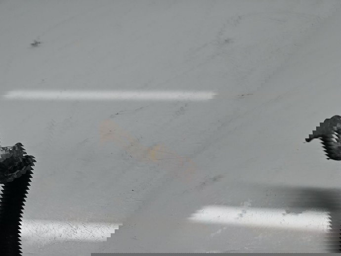 Borna baterie (-) MINI Cooper (R56) [Fabr 2006-2014] 7603567-02