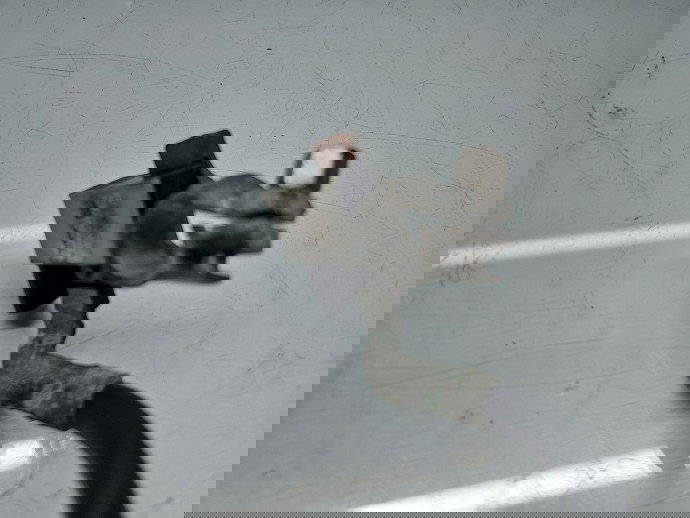 Borna baterie (-) MINI Cooper (R56) [Fabr 2006-2014] 7603567-02