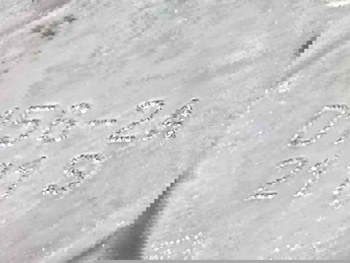 Pompa vacuum D1562A Peugeot 307 [Fabr 2000-2008] 1.6 HDI