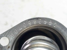 Conducta gaze 9646996980 Peugeot 307 [Fabr 2000-2008] 1.6 HDI