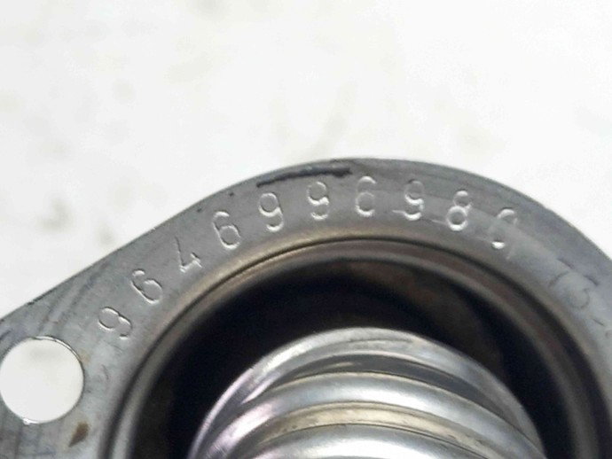 Conducta gaze 9646996980 Peugeot 307 [Fabr 2000-2008] 1.6 HDI