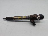 Injector Mercedes Clasa A (W176) [Fabr 2012-2018] 166006212R 1.5 CDI 607951 80KW / 109CP