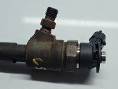 Injector Citroen C3 (II) [Fabr 2009-2016] 0445110339, 870689 1.4 HDI DV4C 50KW / 68CP