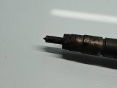 Injector Citroen C3 (II) [Fabr 2009-2016] 0445110339, 870689 1.4 HDI DV4C 50KW / 68CP