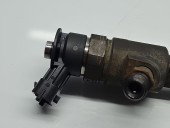 Injector Citroen C3 (II) [Fabr 2009-2016] 0445110339, 870689 1.4 HDI DV4C 50KW / 68CP
