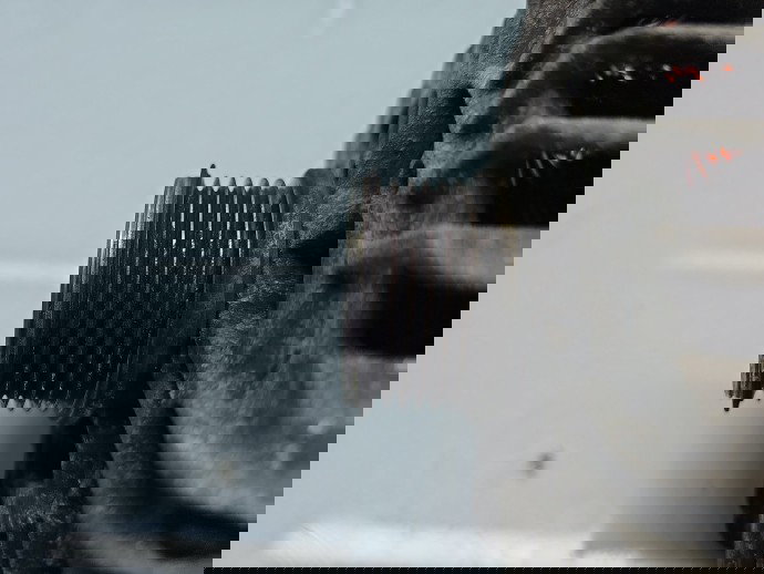 Alternator PEUGEOT Partner (II) [Fabr 2008-2018] 9678048880 1.4 HDI DV4C 50KW / 68CP