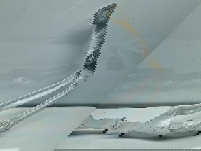 Set balamale capota spate TESLA Model 3 [Fabr 2020-2025] OEM