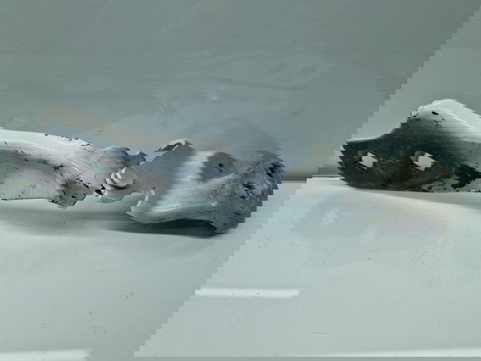 Set balamale capota TESLA Model 3 [Fabr 2020-2025] 109879200,109879300