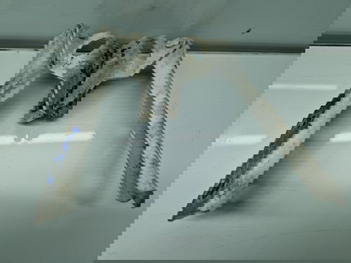 Set balamale capota AUDI A3 (8P1) [Fabr 2003-2012] 8P0823301B,8P0823302B