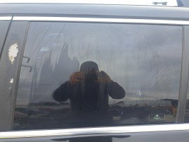 Geam usa stanga spate Volkswagen Golf 5 (1K1) [Fabr 2004-2008]