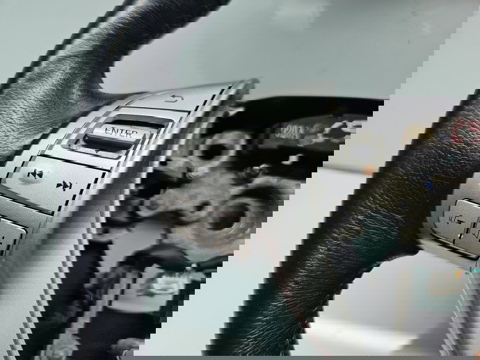 Volan Nissan X-Trail (T32) [Fabr 2013-prezent] OEM