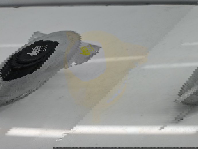 Vas expansiune Dacia Duster [Fabr 2010-2017] OEM