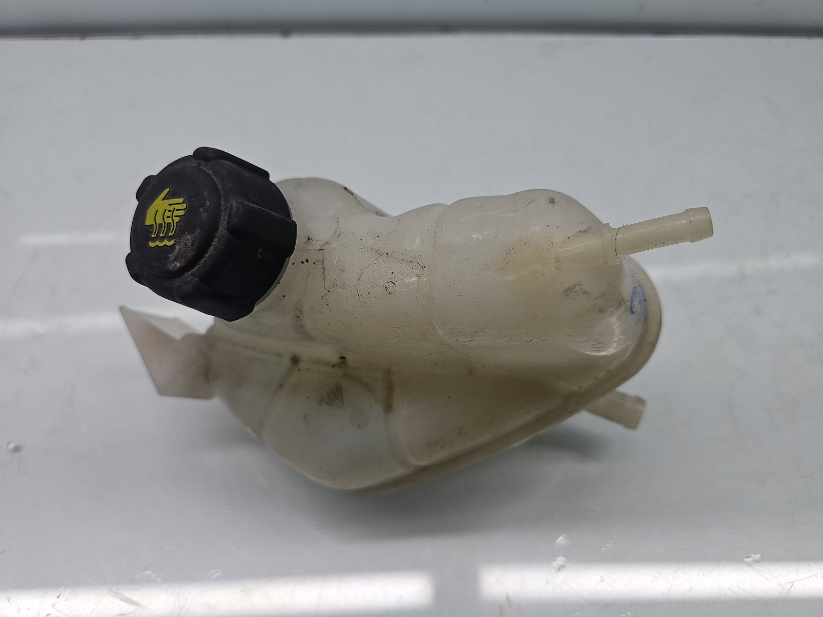 Vas expansiune Nissan X-Trail (T32) [Fabr 2013-prezent] OEM - imagine 1