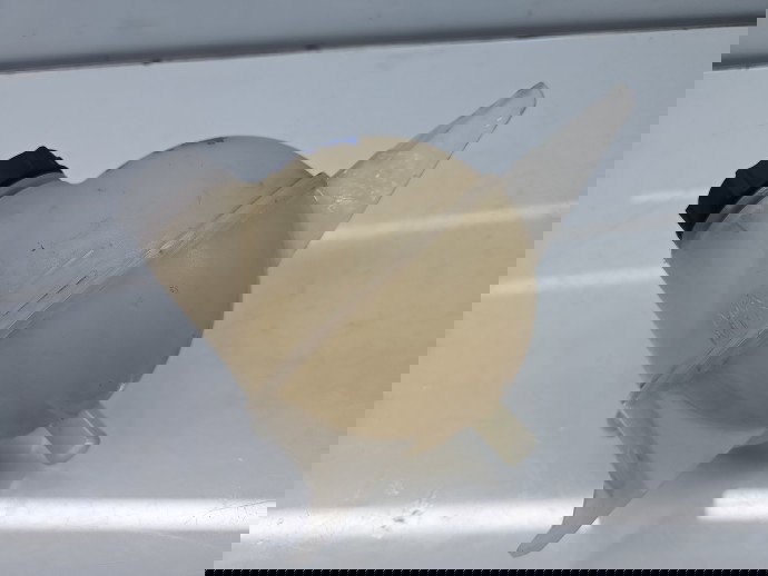 Vas expansiune Ford Transit Custom (TTF) [Fabr 2012-2016] BK21-8K218-AG