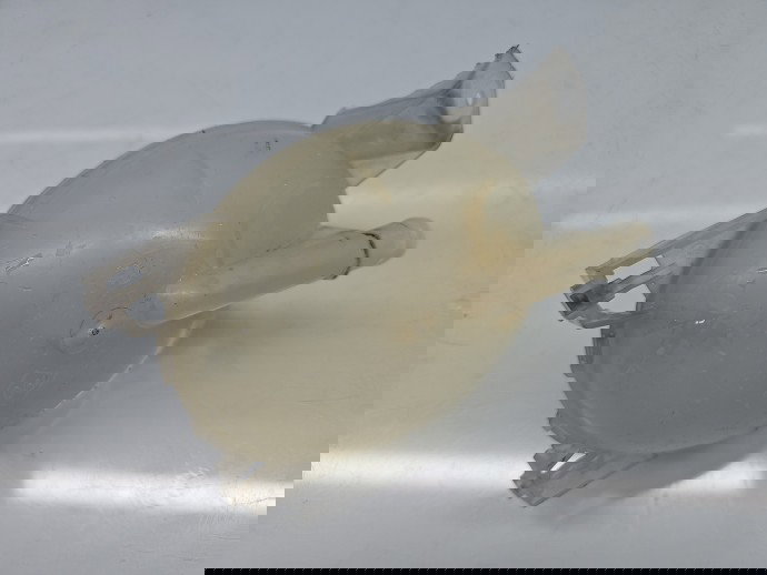 Vas expansiune Dacia Duster [Fabr 2010-2017] SUV Facelift 217107259R