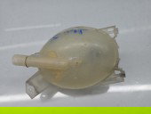 Vas expansiune Dacia Duster [Fabr 2010-2017] SUV Facelift 217107259R