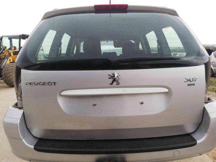 Haion OEM Peugeot 307 [Fabr 2000-2008] 1.6 HDI