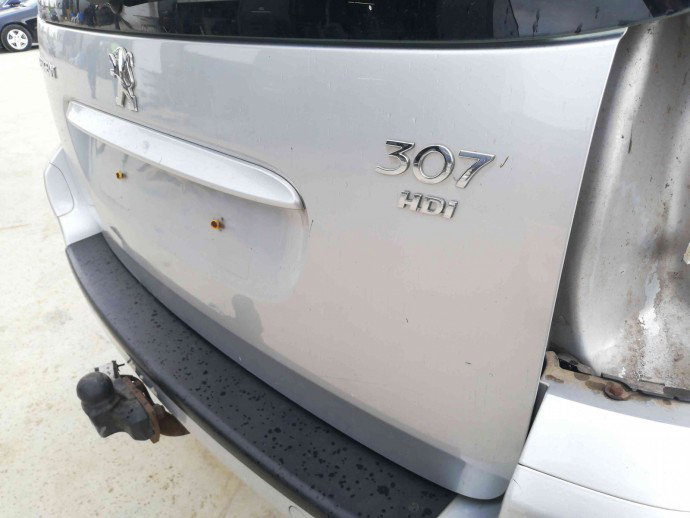 Haion OEM Peugeot 307 [Fabr 2000-2008] 1.6 HDI