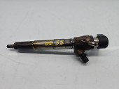 Injector Renault Megane 3 [Fabr 2008-2015] 166006212R 1.5 CDI 607951 80KW / 109CP