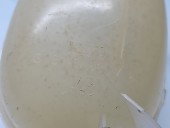 Vas expansiune Ford Kuga II [Fabr 2012-prezent] SUV Facelift GV61-8A080-A