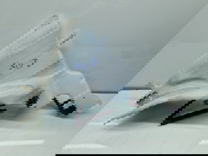 Vas lichid parbriz Jaguar XF (X250) [Fabr 2008-2015] Facelift 8X23-17B613-BF